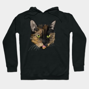 Tortoiseshell Cat Digital Art Hoodie